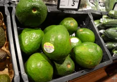 Tropische avocado